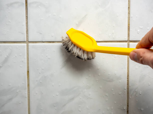 Best Black Mold Removal  in Searingtown, NY